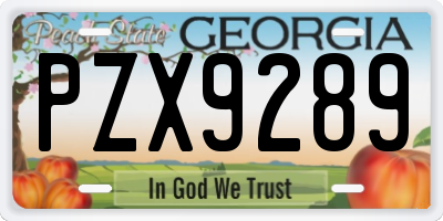 GA license plate PZX9289