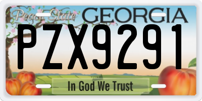 GA license plate PZX9291