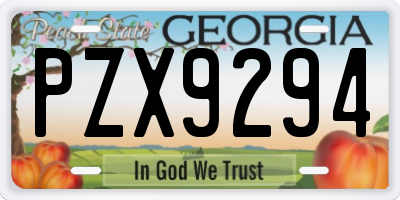 GA license plate PZX9294