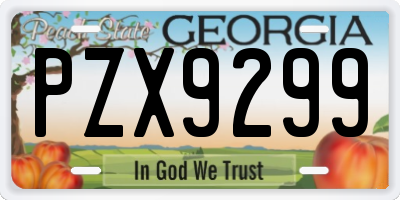 GA license plate PZX9299
