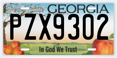GA license plate PZX9302