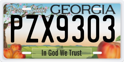 GA license plate PZX9303
