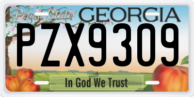 GA license plate PZX9309