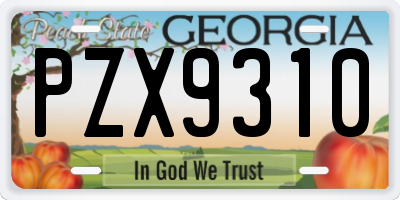 GA license plate PZX9310