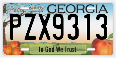 GA license plate PZX9313