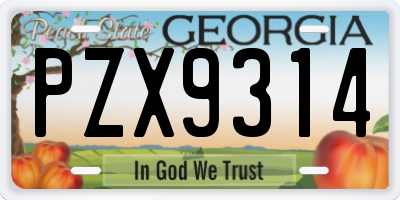 GA license plate PZX9314