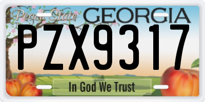 GA license plate PZX9317