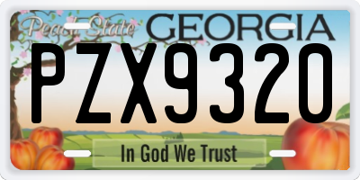 GA license plate PZX9320
