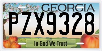 GA license plate PZX9328