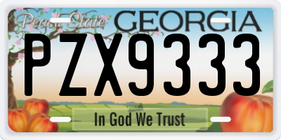GA license plate PZX9333