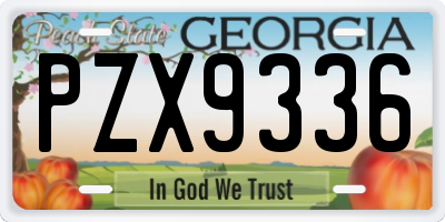 GA license plate PZX9336