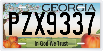 GA license plate PZX9337