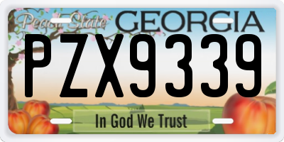 GA license plate PZX9339