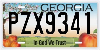 GA license plate PZX9341