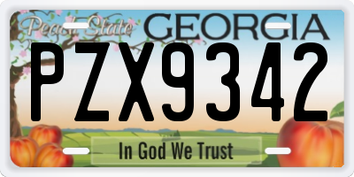 GA license plate PZX9342