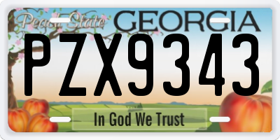 GA license plate PZX9343