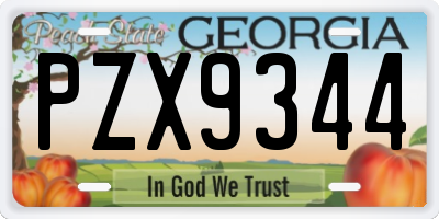 GA license plate PZX9344