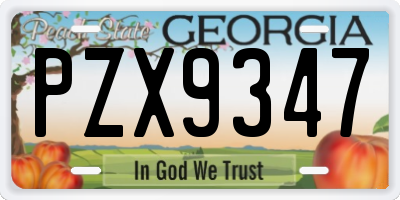 GA license plate PZX9347