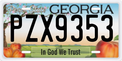 GA license plate PZX9353