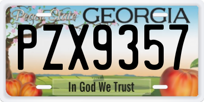 GA license plate PZX9357