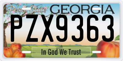 GA license plate PZX9363