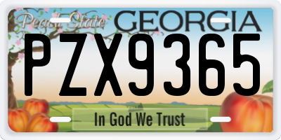 GA license plate PZX9365