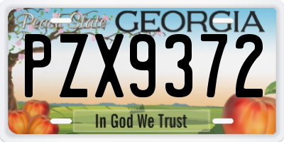 GA license plate PZX9372