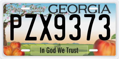 GA license plate PZX9373