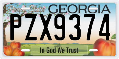 GA license plate PZX9374