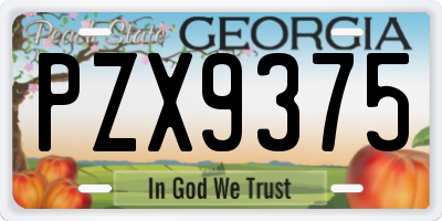 GA license plate PZX9375
