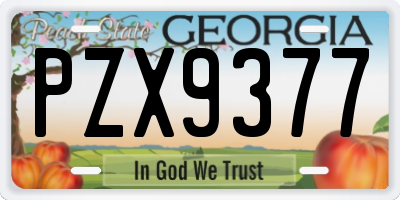 GA license plate PZX9377