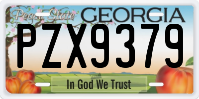 GA license plate PZX9379
