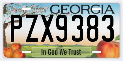 GA license plate PZX9383