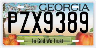 GA license plate PZX9389