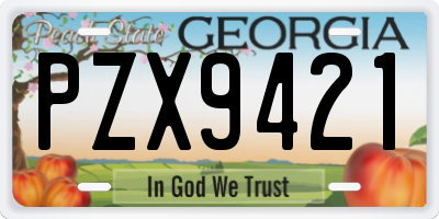 GA license plate PZX9421