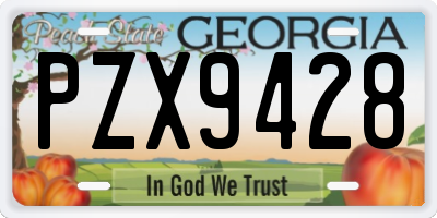 GA license plate PZX9428