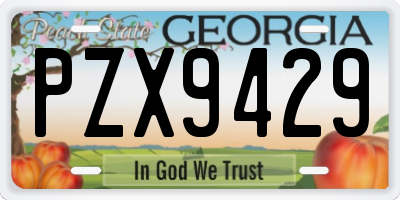 GA license plate PZX9429