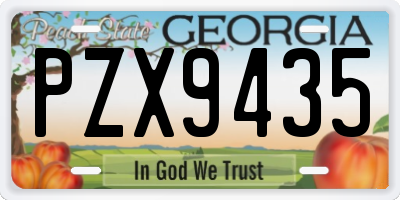 GA license plate PZX9435