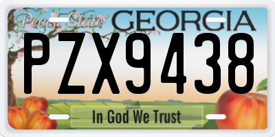 GA license plate PZX9438