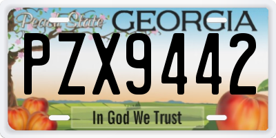 GA license plate PZX9442