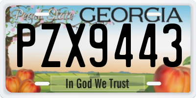 GA license plate PZX9443