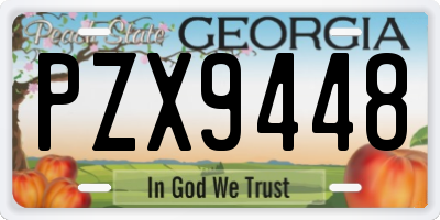 GA license plate PZX9448