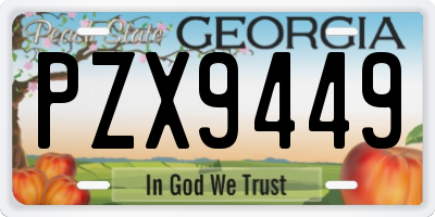 GA license plate PZX9449