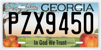 GA license plate PZX9450