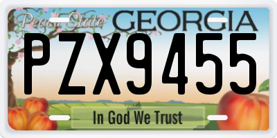 GA license plate PZX9455
