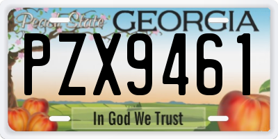 GA license plate PZX9461