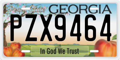 GA license plate PZX9464