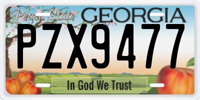 GA license plate PZX9477