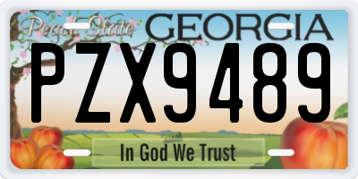 GA license plate PZX9489