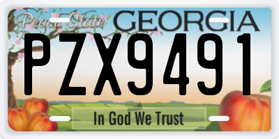 GA license plate PZX9491